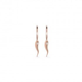 Earrings UBE29005